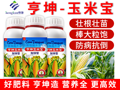 玉米寶500